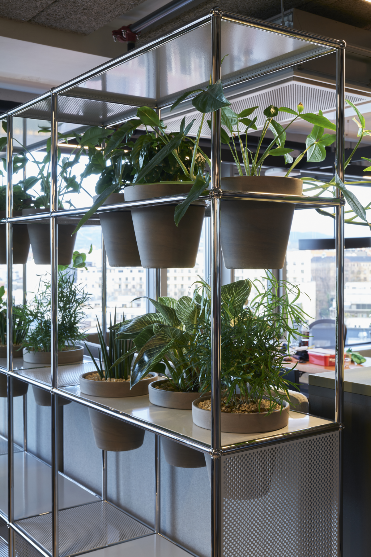 Planter i metallstativ