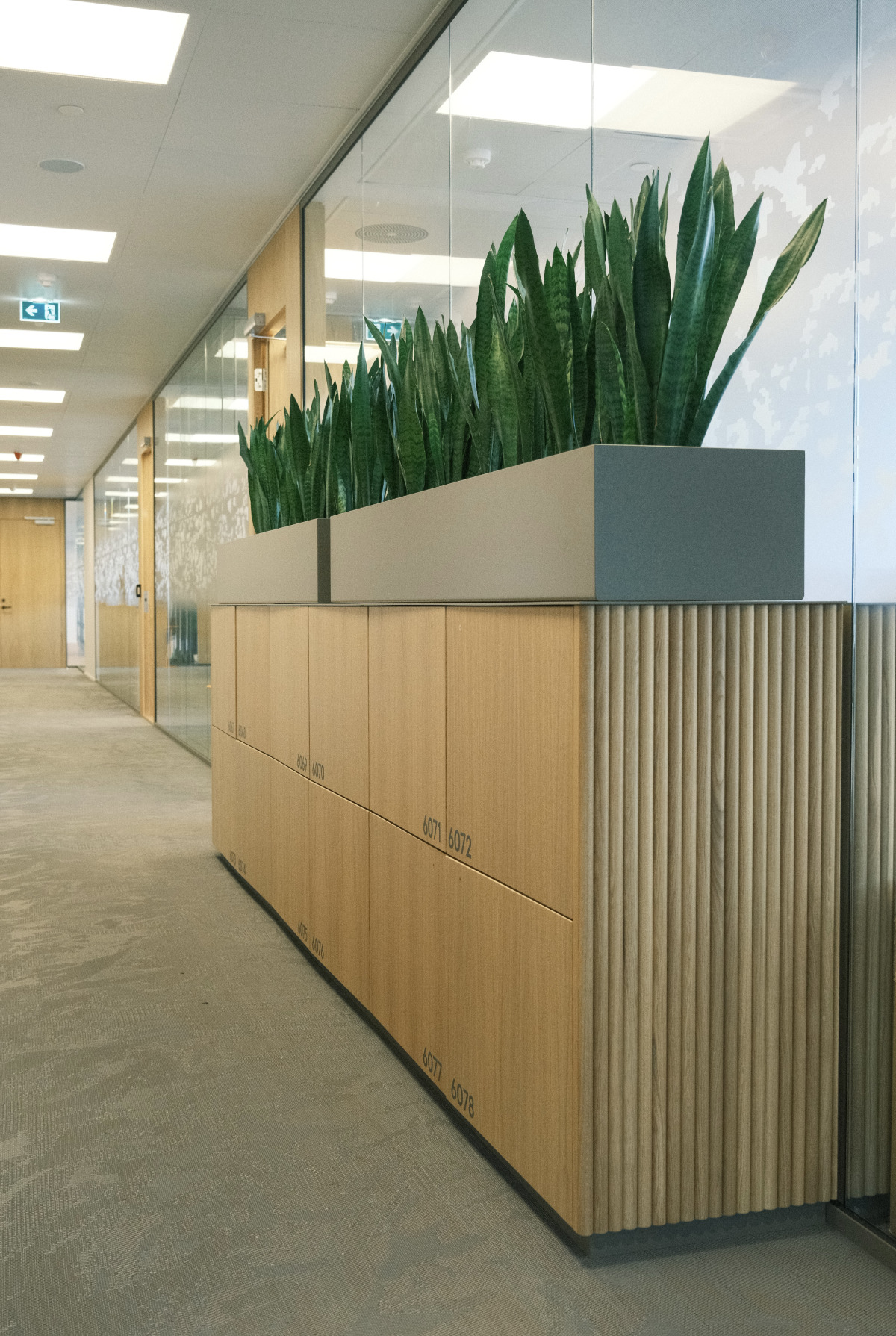 Moderne kontor med plante i resepsjonen