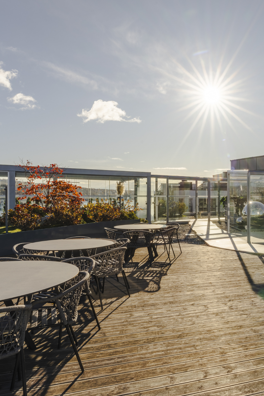 Takterrasse på Tjuvholmen