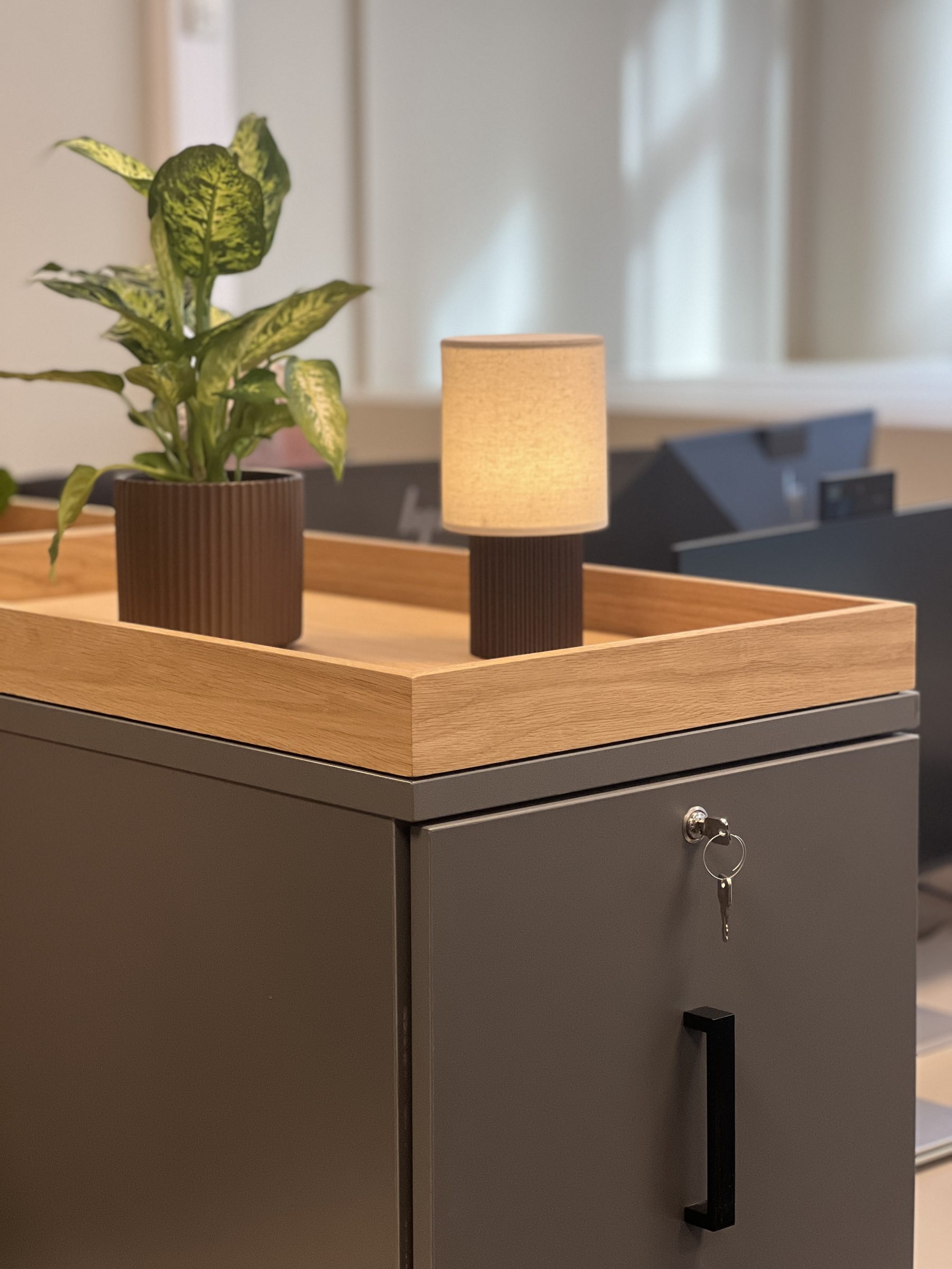 Liten lampe og plante på skrivebordsbord