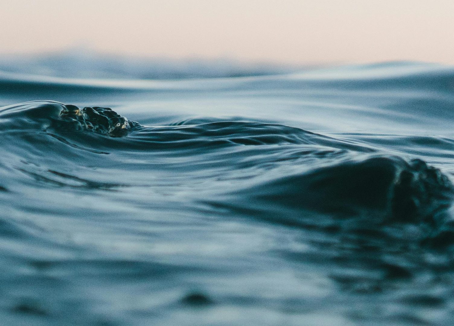 Pexels Matthardy 1533720