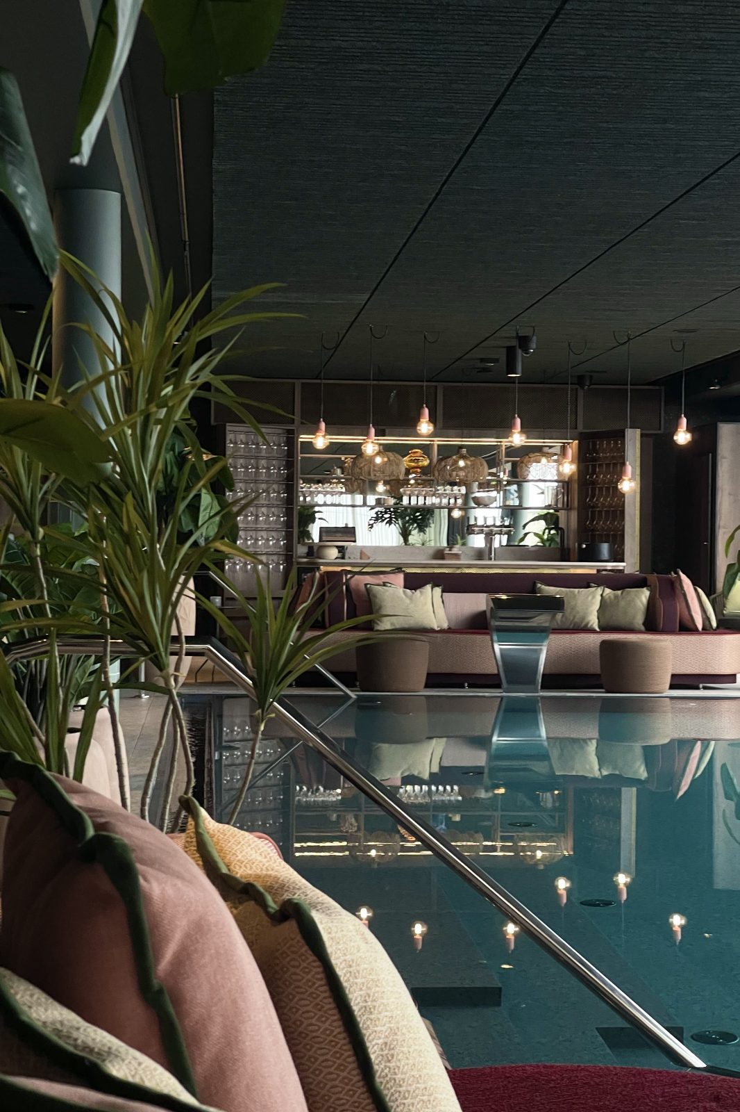 Levende planter i moderne bar med sittesone